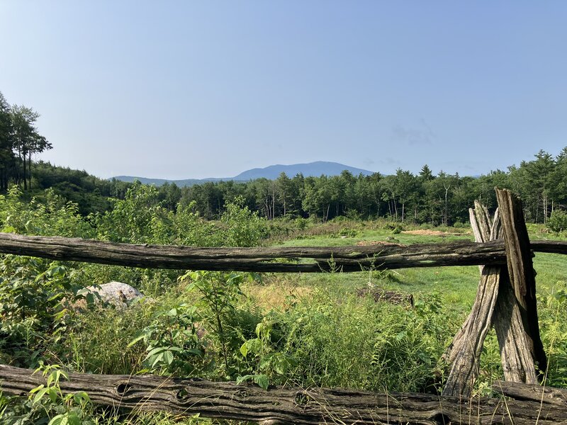 A view of Monadnock, before returning to the forest.