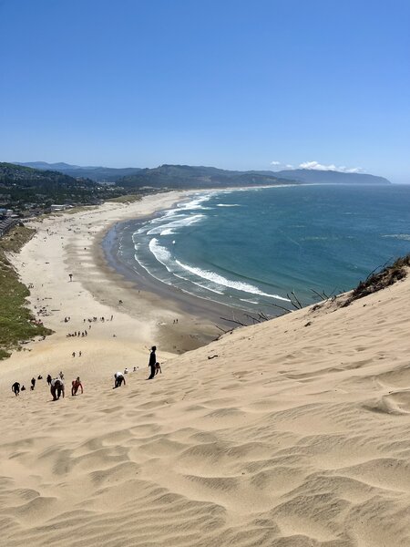 Pacific City Beach from the top of Great Dune.