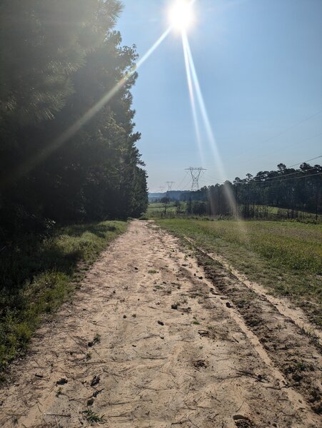 Open view trail spaced for powerlines