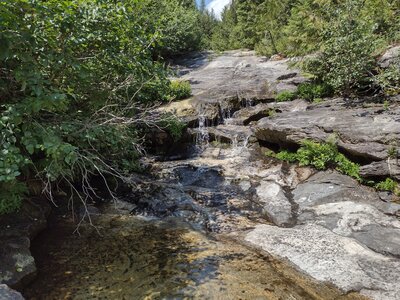Cute, little waterfall at a creek crossing along Fault Lake Trail.