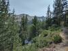 Rugged mountains of the Selkirk Crest emerge at the trail climbs higher.