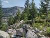 Reds, purples, and yellows of pretty summer wildflowers in the rugged alpine high on Fault Lake Trail.