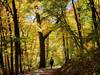 On the trail in Lone Lake Park in the fall.