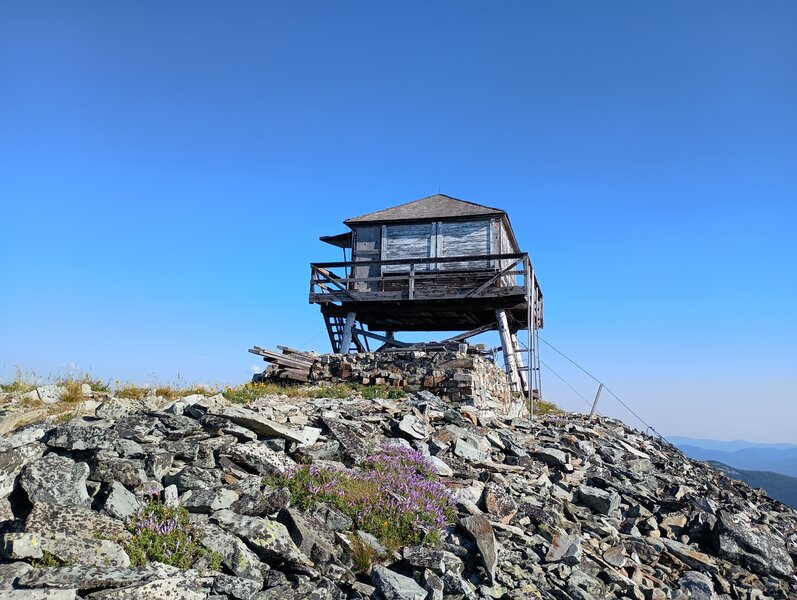 Mount Henry fire lookout tower.