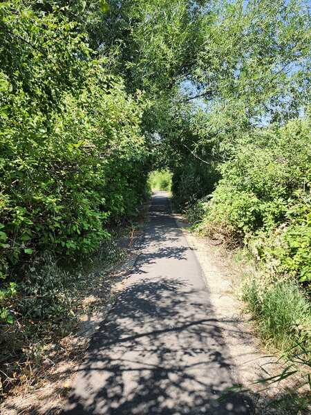 Cherry Springs Nature Trail north.