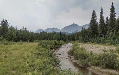Following Etherington Creek upstream, the mountains become closer.