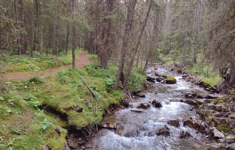 The trail along Boulton Creek.