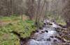 The trail along Boulton Creek.