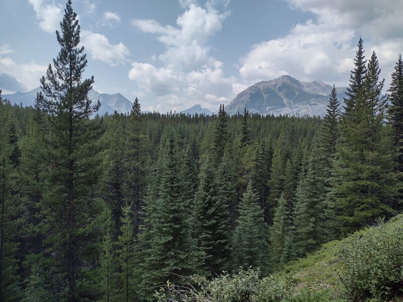 Nearby mountains are seen from a high, open area along the trail.