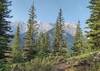 Mount Sarrail, 10,400 ft., is seen through the trees leaving the viewpoint along the Canadian Mt. Everest Expedition Trail.