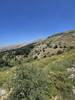 The winding road out of Horsh Ehden