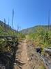 Heading up the West Fork of Fish Creek.