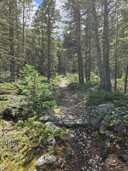 Heading up the trail.