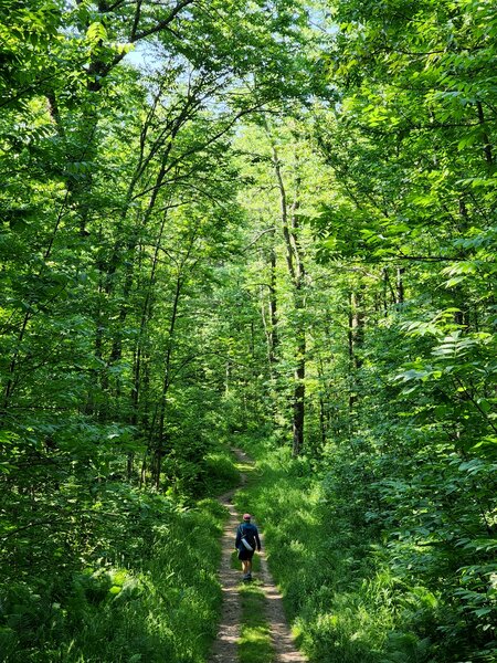 On the Silver Creek Trail and the SHT.