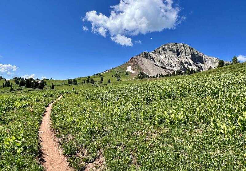 Engineer Mountain Trail, with the mountain in the background.