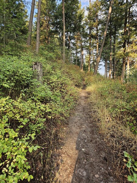 Heading up the trail.