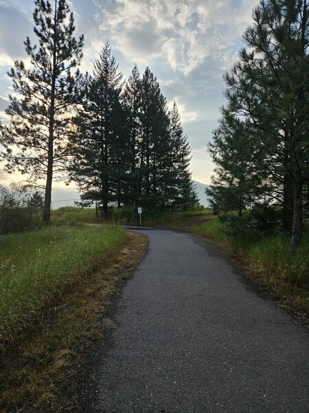 Heading down the Overlook trail.