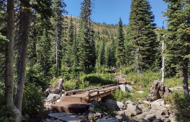 A sturdy boardwalk crosses Snow Creek, the outlet creek of Snow Lake, and its surrounding wet areas, where the lake flows into the creek.