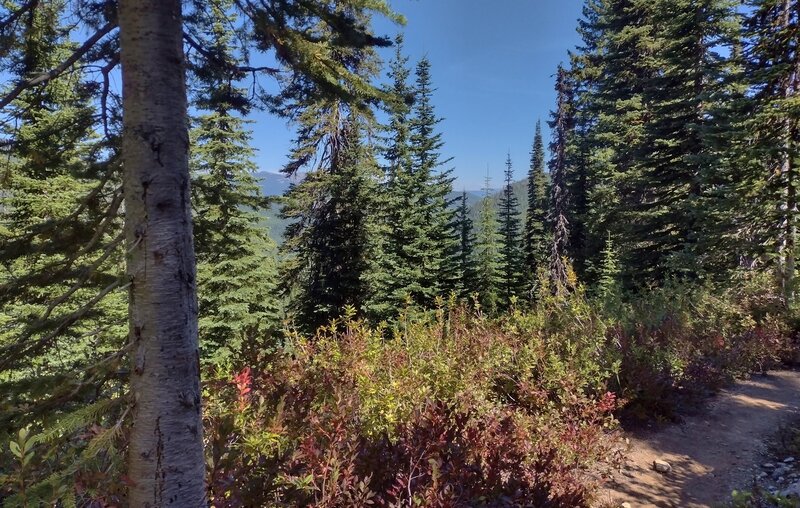 Distant mountains and the beginnings of fall color, on a perfect late August day high on Bottleneck Lake Trail.