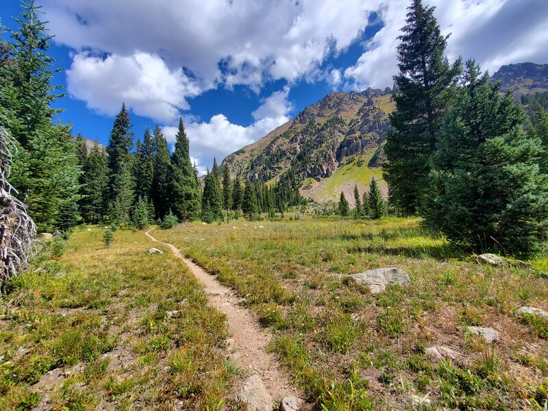 Trail becomes more faint after the cabin.