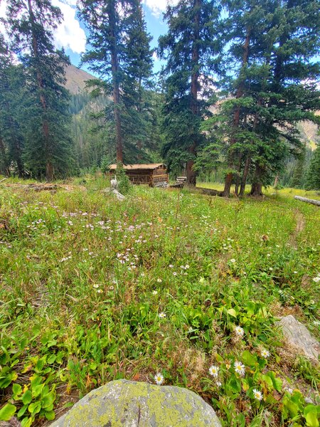 Cabin near the end of the Bighorn Creek Trail - please be respectful!