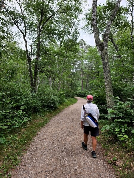 On the old road toward the boardwalk.