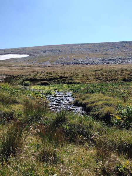 Snowpack fed stream well above treeline is flowing strong at the end of August.