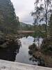 Bridge over far end of Loch an Eilien loop.