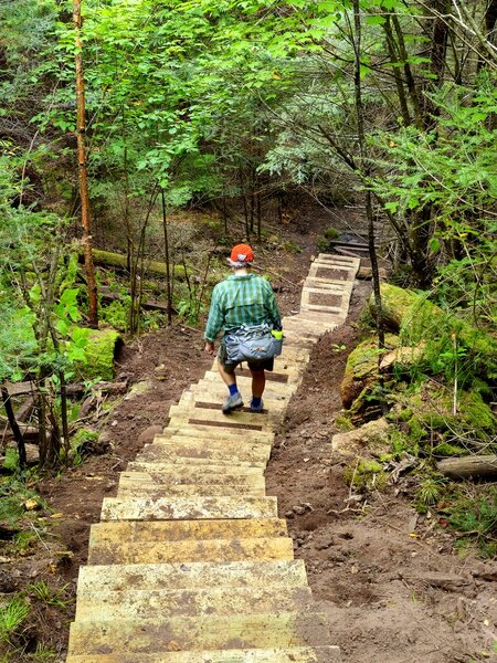 New stairs for the spur trail.