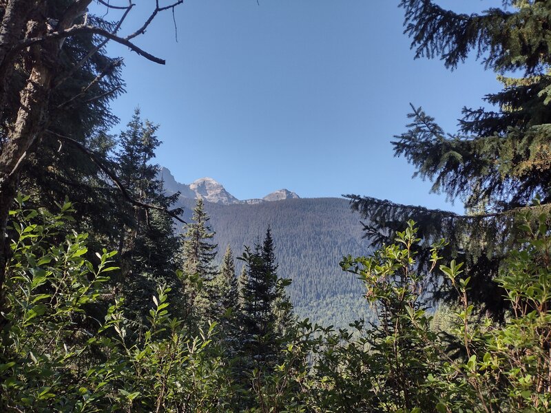 Rugged peaks rise above the far side of the forested Holmes River valley.