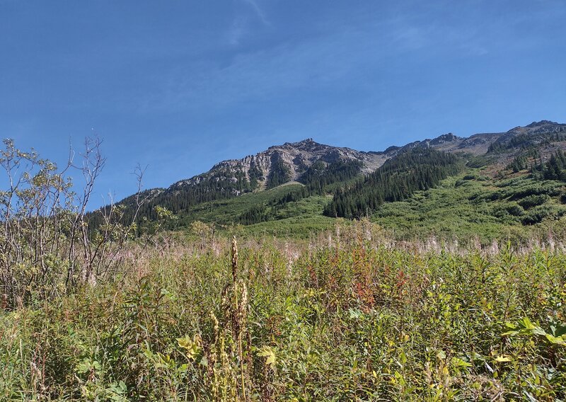 A nearby unnamed peak, and its high meadows that lead to avalanche paths.