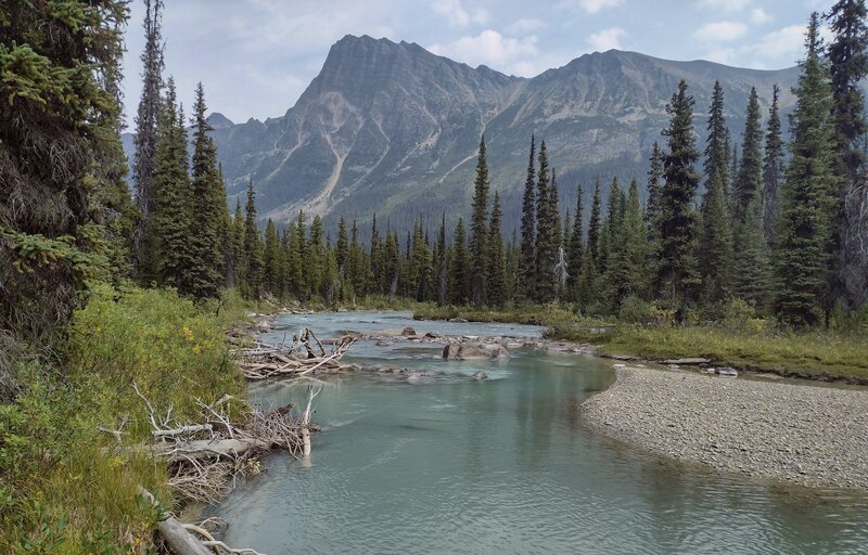 The pretty Jackpine River, thin forest, and nearby mountains including Draco Peak, 8,488 ft. (center left).