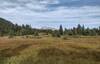 Mt. Sprague, 8,301 ft., in the distance to the north.