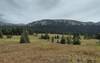 Expansive, relatively flat, grassy meadows, a rarity in the mountains here. These meadows are just south of Morkill Pass Campground.