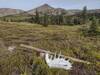 This historic "sign" (the antler) stands out from quite a distance, and says it all - "Entering Willmore Wilderness", a remote Alberta wilderness park.