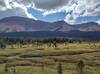 The Sheep Creek Valley viewed from Sheep Creek Camp that overlooks the valley. Casket Mountain is on the far side of the valley.