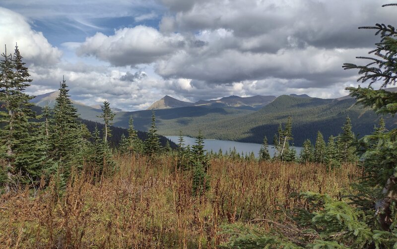 Cecilia Lake and surrounding forests and mountains.