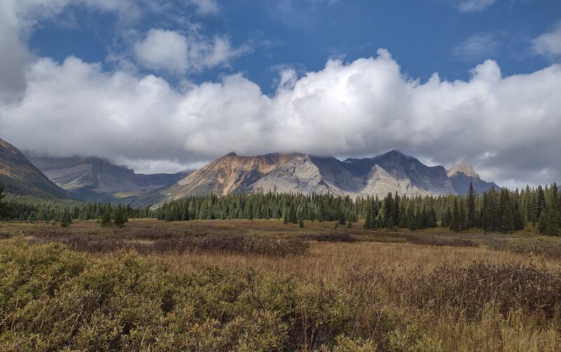 Majestic Mt. St. Andrews, 8,550 ft., seen looking north. Kakwa Lake, at its base, is hidden by the forest at the far side of the meadow of willows.