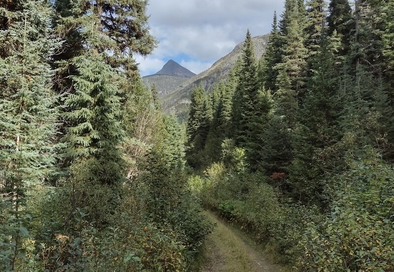 Walker FSR, the way out to the Bastille trailhead.