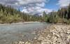 The beautiful McGregor River along the Walker FSR.