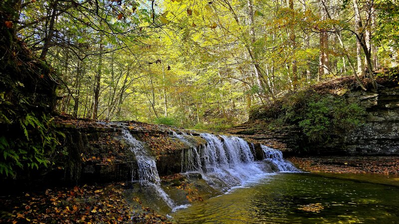 A waterfall in Robert H. Treman State Park.