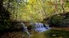 A waterfall in Robert H. Treman State Park.