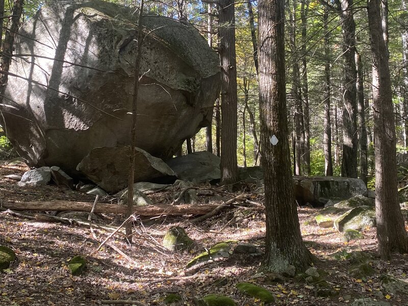 Glacial boulder on Split Rock