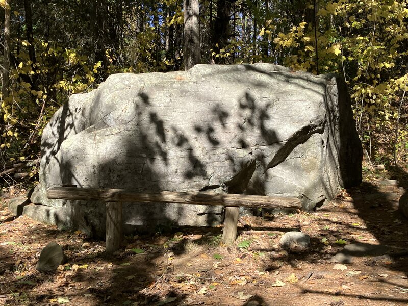 "The Elephant", a large glacial erratic.