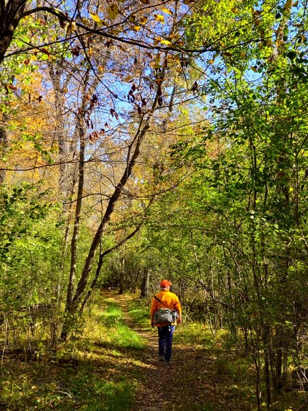 Going counter-clockwise on the Chisago Loop.