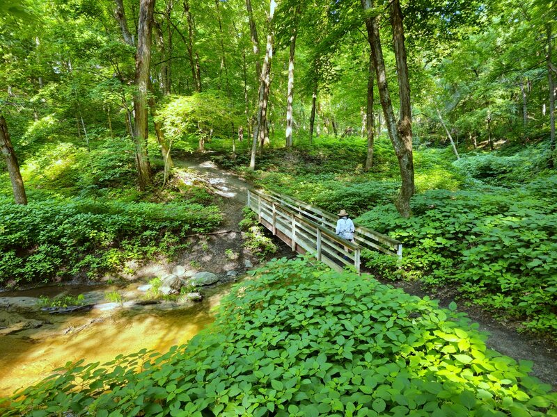 Crossing the first bridge in summer.