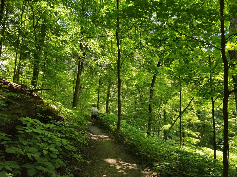 Climbing back to the trailhead.