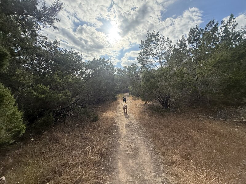 Beginning part of the trail has open air to enjoy the weather above.