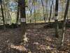 The trail comes to an end at a stone wall where it is posted that you have reached the end of the trail.