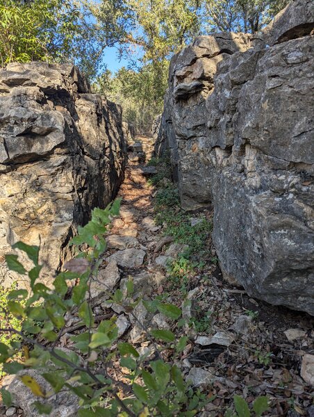 Canyon on the Council Bluffs trail.